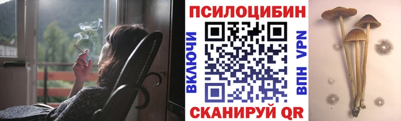 Галлюциногенные грибы Psilocybine cubensis Билибино